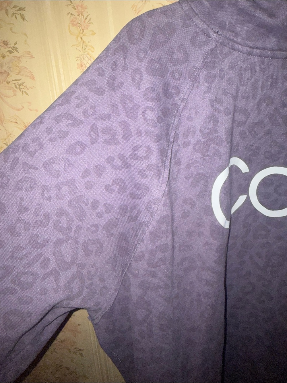 Calvin Klein Women’s Purple Crewneck Hoodie with Logo - Picture 4 of 10